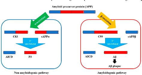 amyloid-beta|The Roles of the Amyloid Beta Monomers in Physiological and .